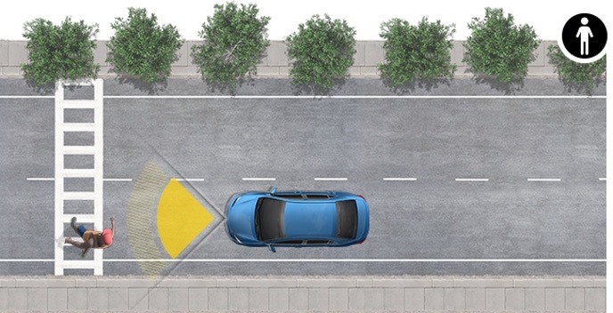 Pre-Collision System with Pedestrian Detection